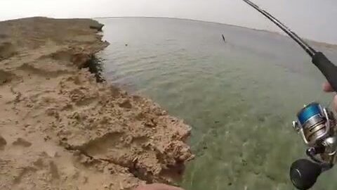 Береговая ловля в кораллах Красного моря в Судане