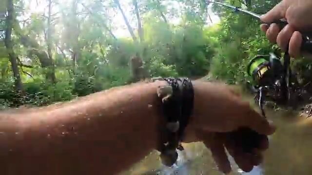 Поехали по подсказке подписчика в Фелмер и ловили на вертушку