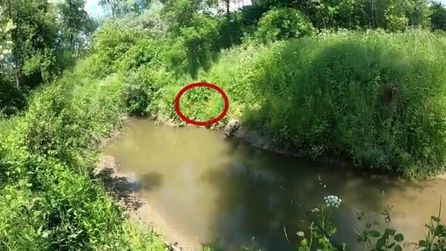 Поехали по подсказке подписчика в Фелмер и ловили на вертушку