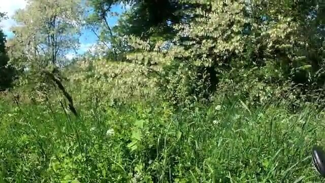 Поехали по подсказке подписчика в Фелмер и ловили на вертушку