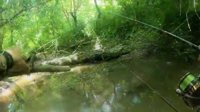 Поехали по подсказке подписчика в Фелмер и ловили на вертушку