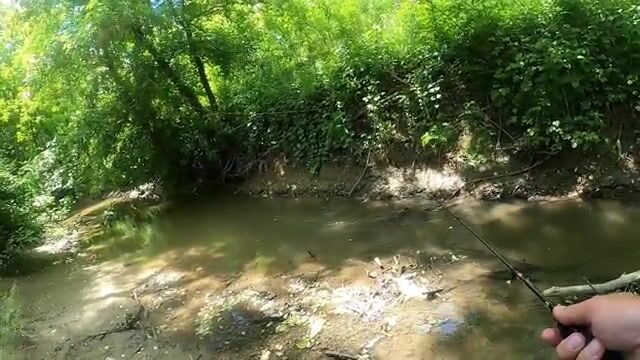Поехали по подсказке подписчика в Фелмер и ловили на вертушку
