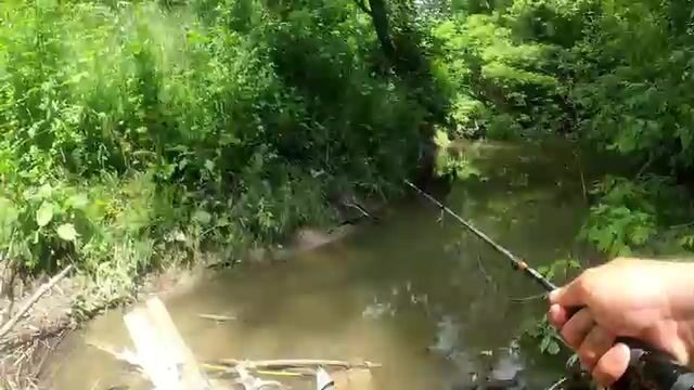 Поехали по подсказке подписчика в Фелмер и ловили на вертушку