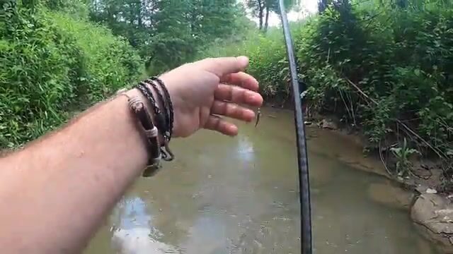 Поехали по подсказке подписчика в Фелмер и ловили на вертушку