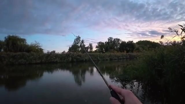 Речной конь в Сербии погнул тройник, но к ночи мы вытащили двух жерехов