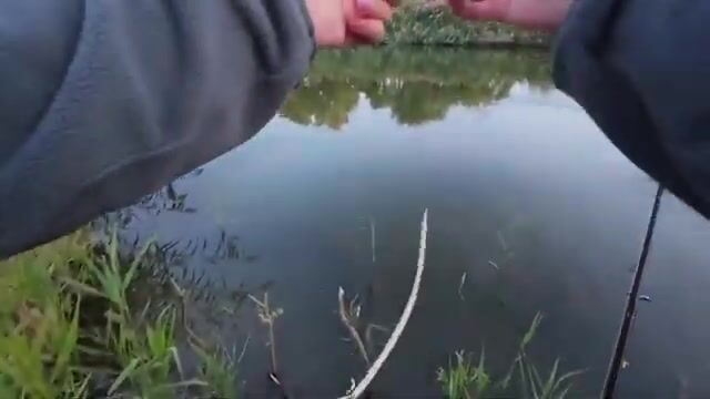 Речной конь в Сербии погнул тройник, но к ночи мы вытащили двух жерехов