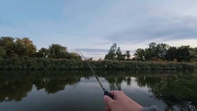 Речной конь в Сербии погнул тройник, но к ночи мы вытащили двух жерехов