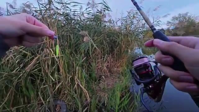 Речной конь в Сербии погнул тройник, но к ночи мы вытащили двух жерехов