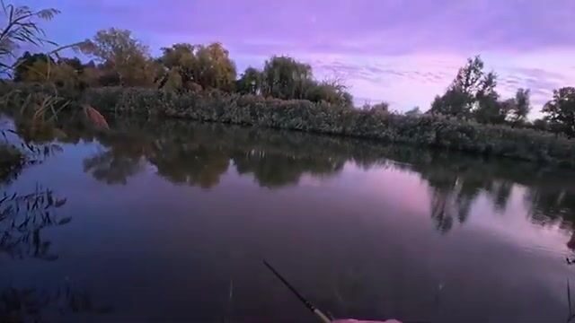 Речной конь в Сербии погнул тройник, но к ночи мы вытащили двух жерехов