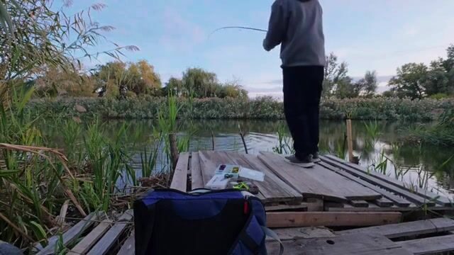Речной конь в Сербии погнул тройник, но к ночи мы вытащили двух жерехов
