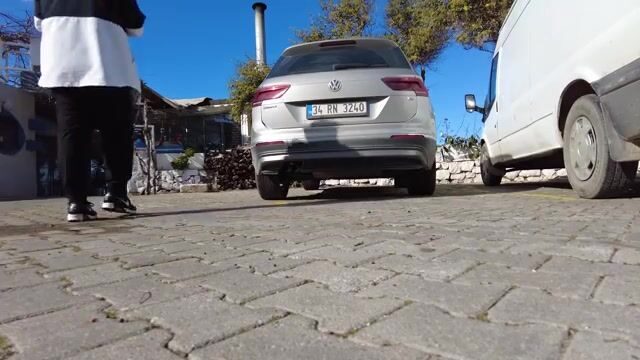 Берег в Бодруме: перевязывали снасть и кормили траву