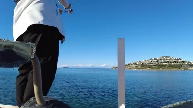 Берег в Бодруме: перевязывали снасть и кормили траву