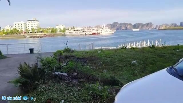 Смена глубины и ловля риа у причала в Туанчау