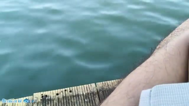 Смена глубины и ловля риа у причала в Туанчау