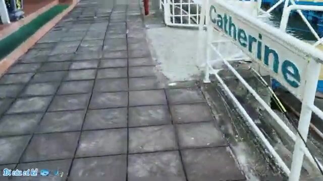 Смена глубины и ловля риа у причала в Туанчау