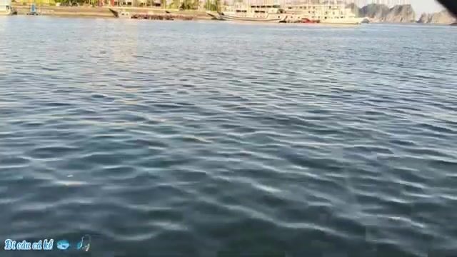 Смена глубины и ловля риа у причала в Туанчау