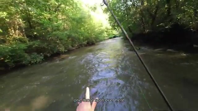 Второй день нахлыста в Трансильвании начали с мелких мушек