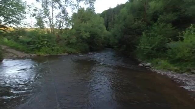Второй день нахлыста в Трансильвании начали с мелких мушек