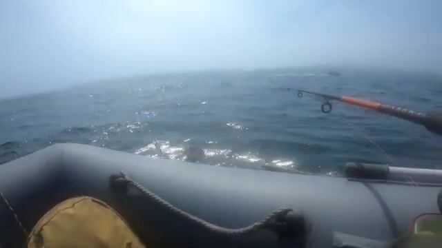 Лодку надули зря и застряли на Русском из-за перекрытого моста
