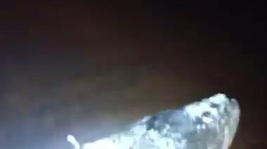 Субботний выезд с ночевкой на Кусевейне в Суринаме