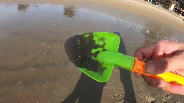 На отмели в Вунгтау искали норки и достали раков-богомолов