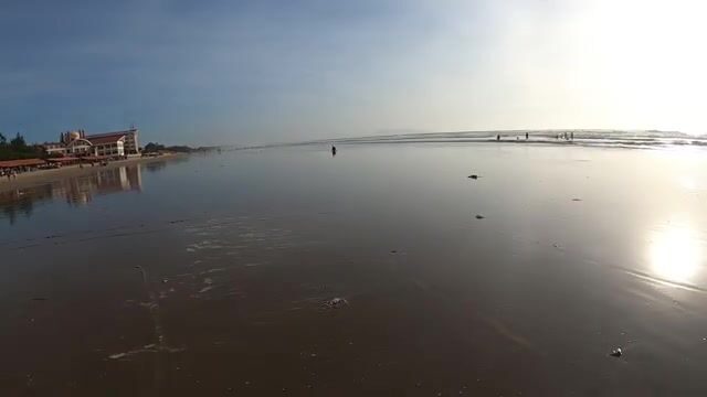 На отмели в Вунгтау искали норки и достали раков-богомолов
