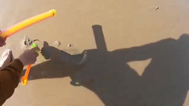 На отмели в Вунгтау искали норки и достали раков-богомолов