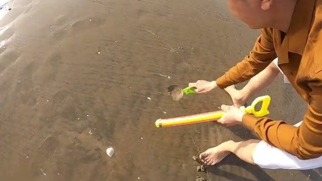На отмели в Вунгтау искали норки и достали раков-богомолов