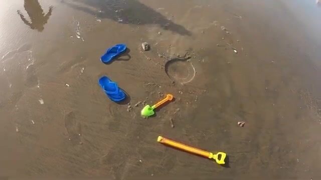 На отмели в Вунгтау искали норки и достали раков-богомолов