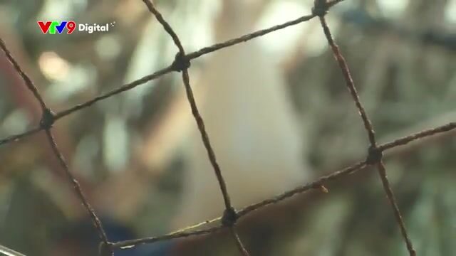 Ночной выход в заливе Ванфонг с местным рыбаком