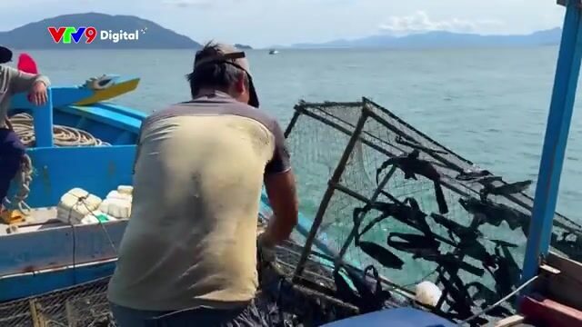 Ночной выход в заливе Ванфонг с местным рыбаком