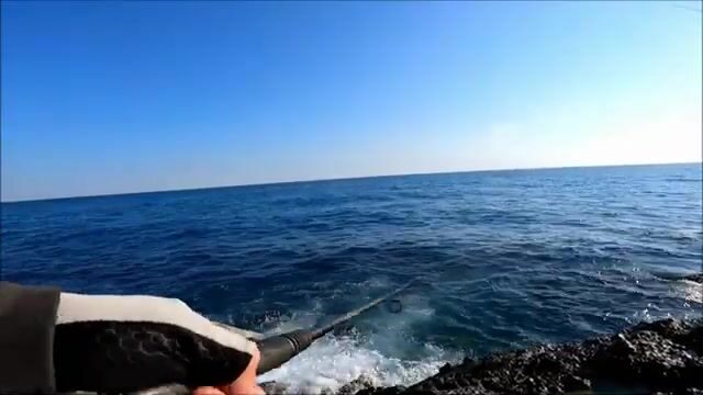 Сменили джиг на берегу в Синопе и сразу взяли паламуда