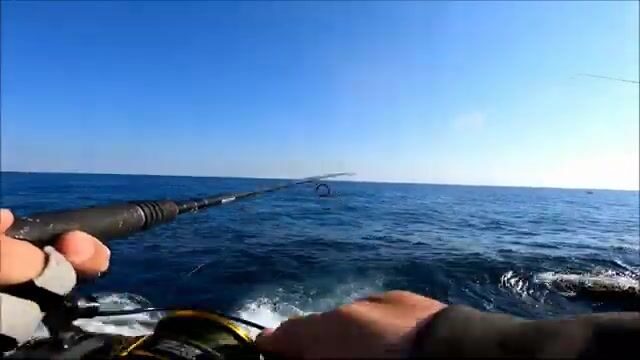 Сменили джиг на берегу в Синопе и сразу взяли паламуда