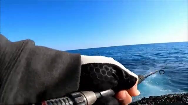 Сменили джиг на берегу в Синопе и сразу взяли паламуда
