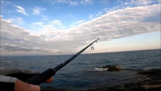 Сменили джиг на берегу в Синопе и сразу взяли паламуда