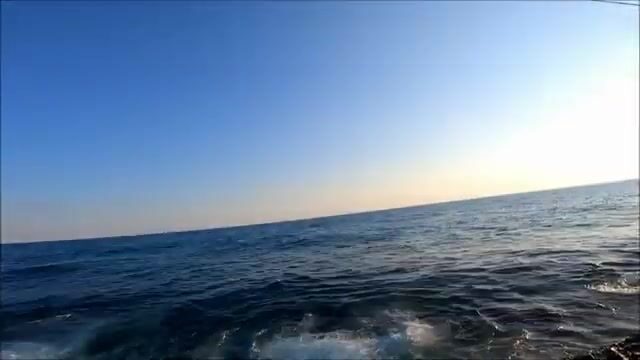 Сменили джиг на берегу в Синопе и сразу взяли паламуда