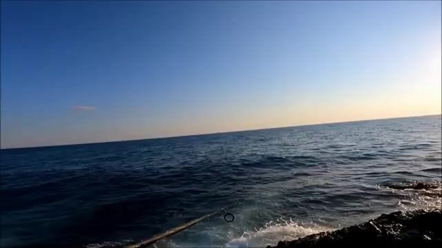 Сменили джиг на берегу в Синопе и сразу взяли паламуда