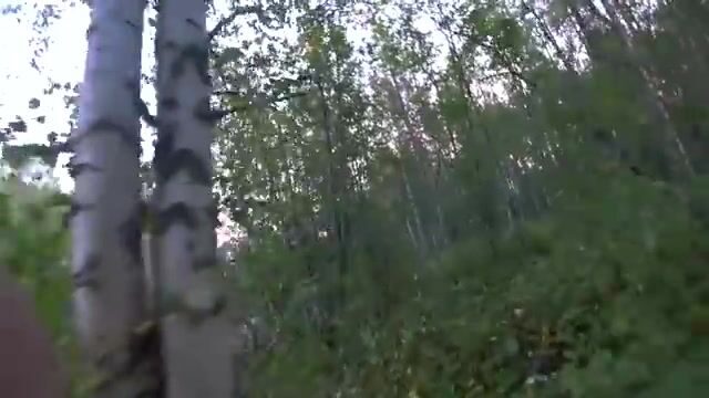 Ночёвка на Южной Яде под Архангельском и три щуки на блесну