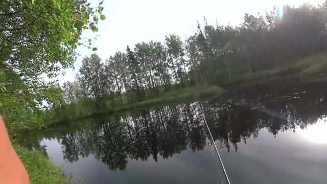 Ночёвка на Южной Яде под Архангельском и три щуки на блесну