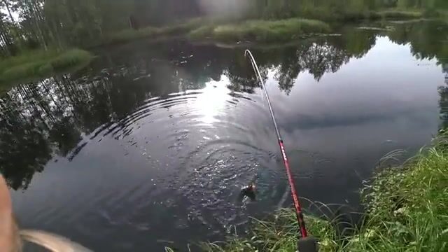 Ночёвка на Южной Яде под Архангельском и три щуки на блесну