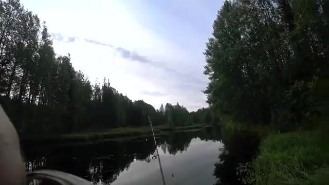 Ночёвка на Южной Яде под Архангельском и три щуки на блесну