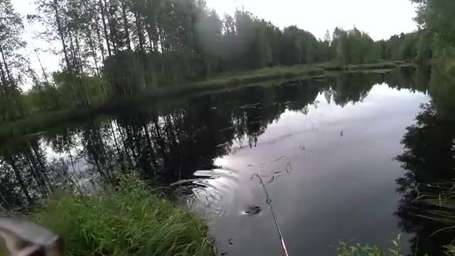 Ночёвка на Южной Яде под Архангельском и три щуки на блесну