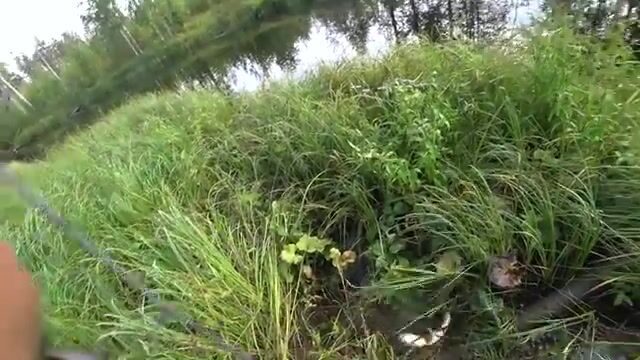 Ночёвка на Южной Яде под Архангельском и три щуки на блесну