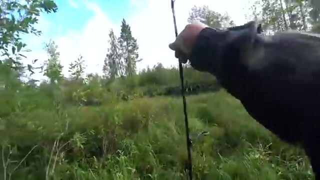 Ночёвка на Южной Яде под Архангельском и три щуки на блесну