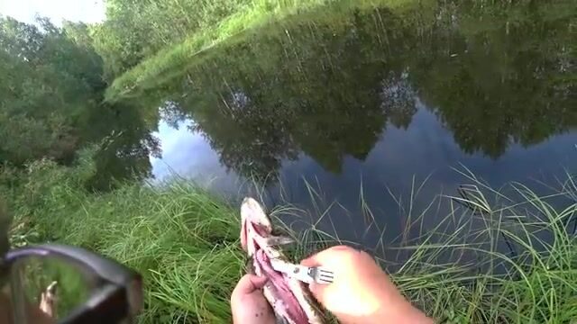 Ночёвка на Южной Яде под Архангельском и три щуки на блесну