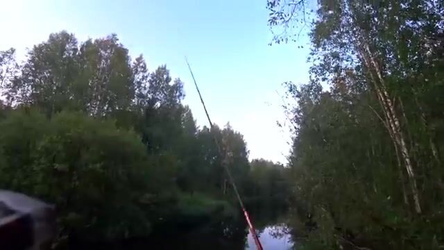 Ночёвка на Южной Яде под Архангельском и три щуки на блесну