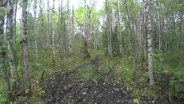 Ночёвка на Южной Яде под Архангельском и три щуки на блесну