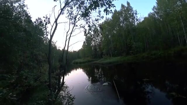 Ночёвка на Южной Яде под Архангельском и три щуки на блесну