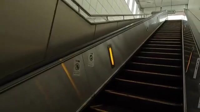Сабики без наживки в Осаке принесли несколько рыб за раз