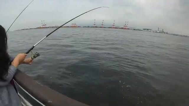 Сабики без наживки в Осаке принесли несколько рыб за раз